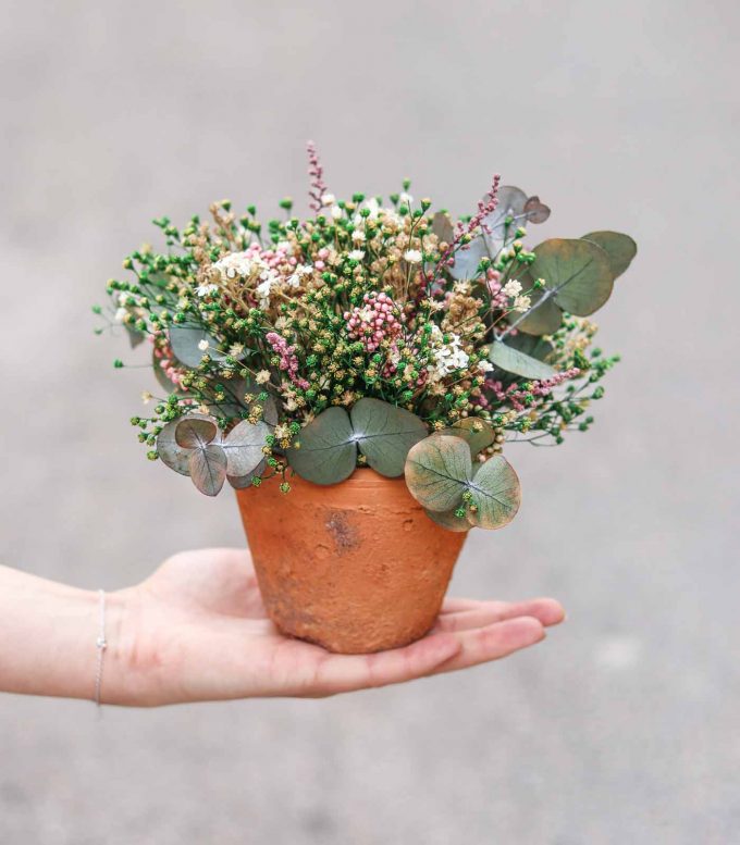 Pequeño centro de flores secas y preservadas - Achilea