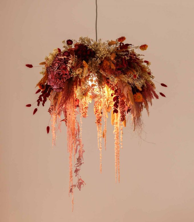 Lámpara floral: Velella